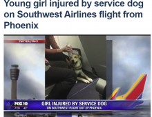 【海外発！Breaking News】セラピーアニマルの機内持ち込みで事故　犬が少女に噛みつく（米）