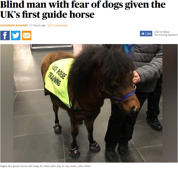 英国で初となる“盲導馬”（画像は『London Evening Standard　2018年2月6日付「Blind man with fear of dogs given the UK’s first guide horse」（John Pinto）』のスクリーンショット）