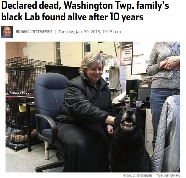 行方不明だった犬、10年ぶりに飼い主と再会（画像は『TribLIVE　2018年1月30日付「Declared dead, Washington Twp. family’s black Lab found alive after 10 years」（Brian C.Rittmeyer Tribune-Review）』のスクリーンショット）