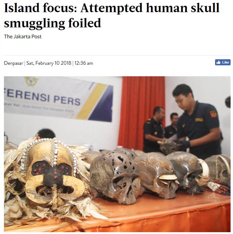 税関で押収された頭蓋骨（画像は『The Jakarta Post　2018年2月10日付「Island focus: Attempted human skull smuggling foiled」（JP / Zul Trio Anggono）』のスクリーンショット）