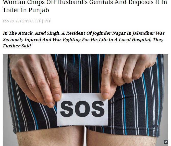浮気した夫の陰茎を妻が切断しトイレに流す（画像は『Mid-Day　2018年2月20日付「Woman Chops Off Husband’s Genitals And Disposes It In Toilet In Punjab」』のスクリーンショット）