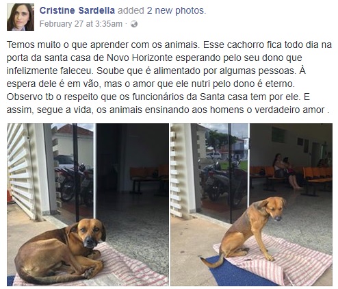 病院の外で4か月も飼い主を待つ犬（画像は『Cristine Sardella　2018年2月27日付Facebook「Temos muito o que aprender com os animais.」』のスクリーンショット）