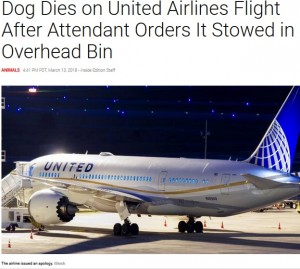 【海外発！Breaking News】ユナイテッド航空機内で犬が死亡　CAに「座席上の棚に」置くよう指示されて（米）