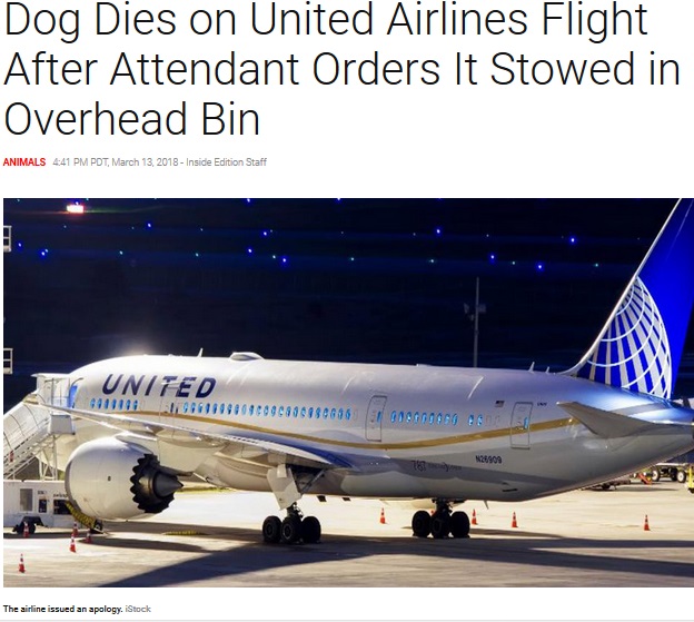 CAの指示で機内の手荷物棚に置かれた犬が死亡（画像は『Inside Edition　2018年3月13日付「Dog Dies on United Airlines Flight After Attendant Orders It Stowed in Overhead Bin」（iStock）』のスクリーンショット）
