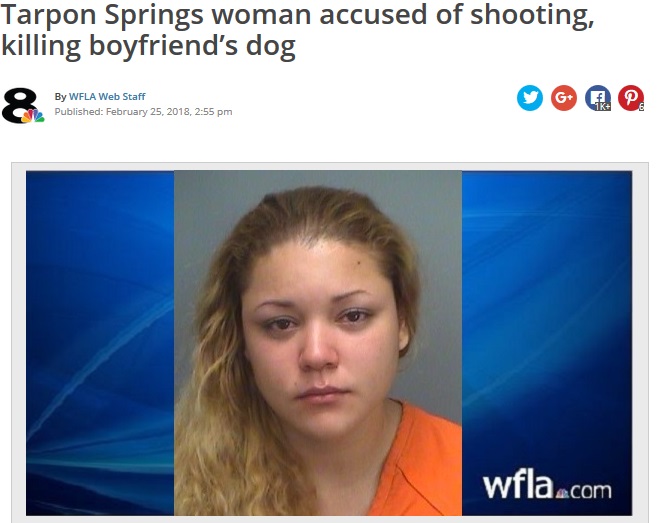 キレた女、婚約者の飼い犬を射殺（画像は『WFLA.com　2018年2月25日付「Tarpon Springs woman accused of shooting, killing boyfriend’s dog」』のスクリーンショット）