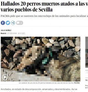 【海外発！Breaking News】20頭以上の犬が線路につながれ惨死　スペインの鉄道で