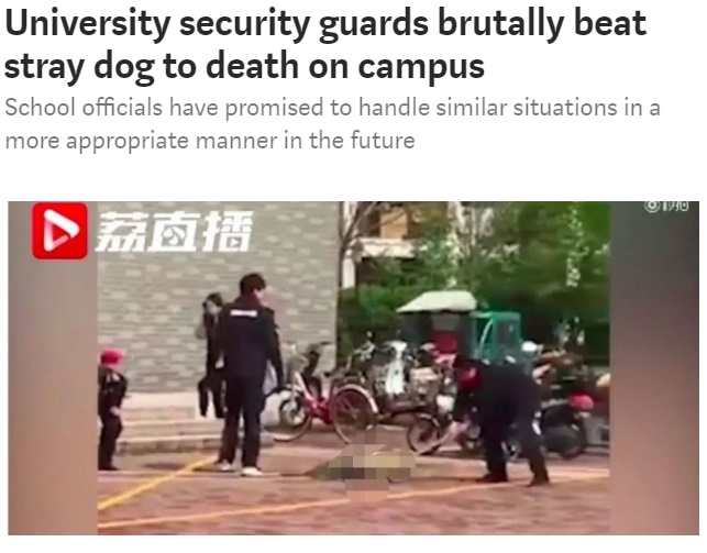 キャンパスに入り込んだ野良犬、警備員が執拗に殴って殺す（画像は『Shanghaiist　2018年4月10日付「University security guards brutally beat stray dog to death on campus」』のスクリーンショット）