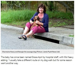 【海外発！Breaking News】散歩中の犬、地下約1.8mに位置する雨水管にいた赤ちゃんを発見（南ア）