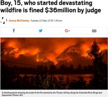 【海外発！Breaking News】山火事を引き起こした15歳少年に裁判所、40億円の支払い命令（米）
