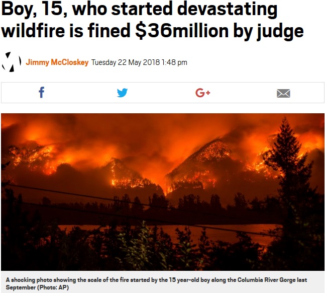 昨年のオレゴン州の山火事で少年に40億円の支払い命令（画像は『Metro　2018年5月22日付「Boy, 15, who started devastating wildfire is fined ＄36million by judge」（Photo: AP）』のスクリーンショット）