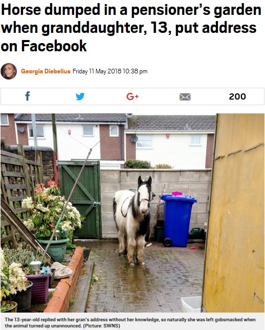 庭に突然見知らぬポニーが…（画像は『Metro　2018年5月11日付「Horse dumped in a pensioner’s garden when granddaughter, 13, put address on Facebook」（Picture: SWNS）』のスクリーンショット）