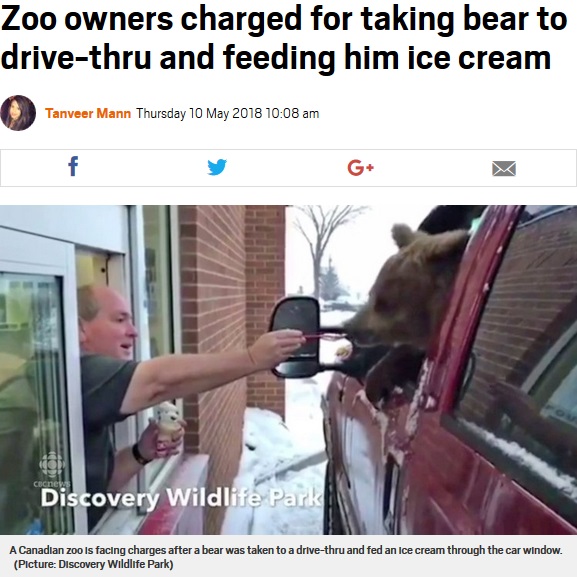 クマをドライブスルーに連れ出し、アイスを食べさせるシーンも（画像は『Metro　2018年5月10日付「Zoo owners charged for taking bear to drive-thru and feeding him ice cream」（Picture: Discovery Wildlife Park）』のスクリーンショット）