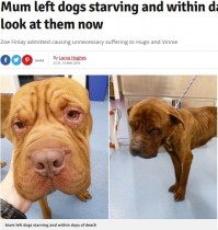 【海外発！Breaking News】飼い犬2頭を餓死寸前にした女、生涯ペット飼育を禁じられる（英）