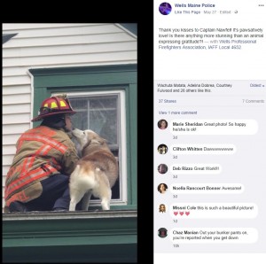 【海外発！Breaking News】消防隊員に救助されたハスキー犬がお礼のキス（米）＜動画あり＞