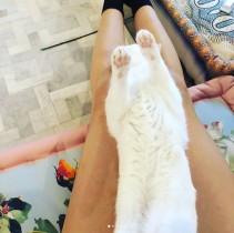【エンタがビタミン♪】柴咲コウの“美猫＆美脚”ショットに反響「脚が長くて綺麗すぎる」