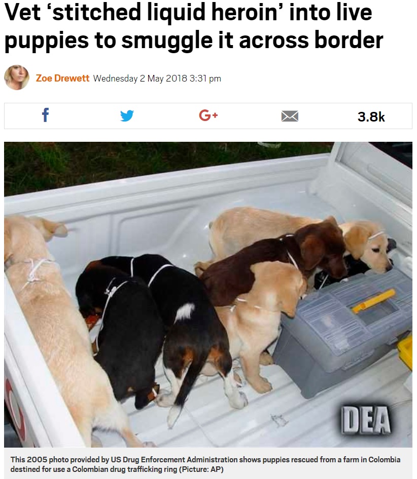 ドラッグ密輸のために飼われていた仔犬（画像は『Metro　2018年5月2日付「Vet ‘stitched liquid heroin’ into live puppies to smuggle it across border」（Picture: AP）』のスクリーンショット）