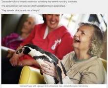 【海外発！Breaking News】認知症介護施設にペンギンがやって来る　セラピーアニマルとして患者も笑顔に（英）
