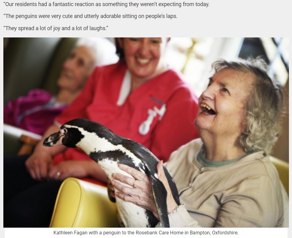 認知症患者のセラピーにペンギンが登場（画像は『real fix　2018年4月27日付「Penguins Prove A Big Hit With Residents At A Dementia Care Home In New Attempt To Provide Animal Therapy」』のスクリーンショット）