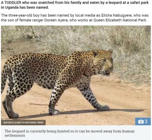 【海外発！Breaking News】サファリスタッフの息子、母親が仕事中にヒョウに襲われ死亡（ウガンダ）