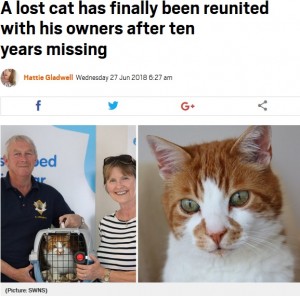 【海外発！Breaking News】突然姿を消した猫、10年ぶりに見つかり飼い主のもとへ（英）