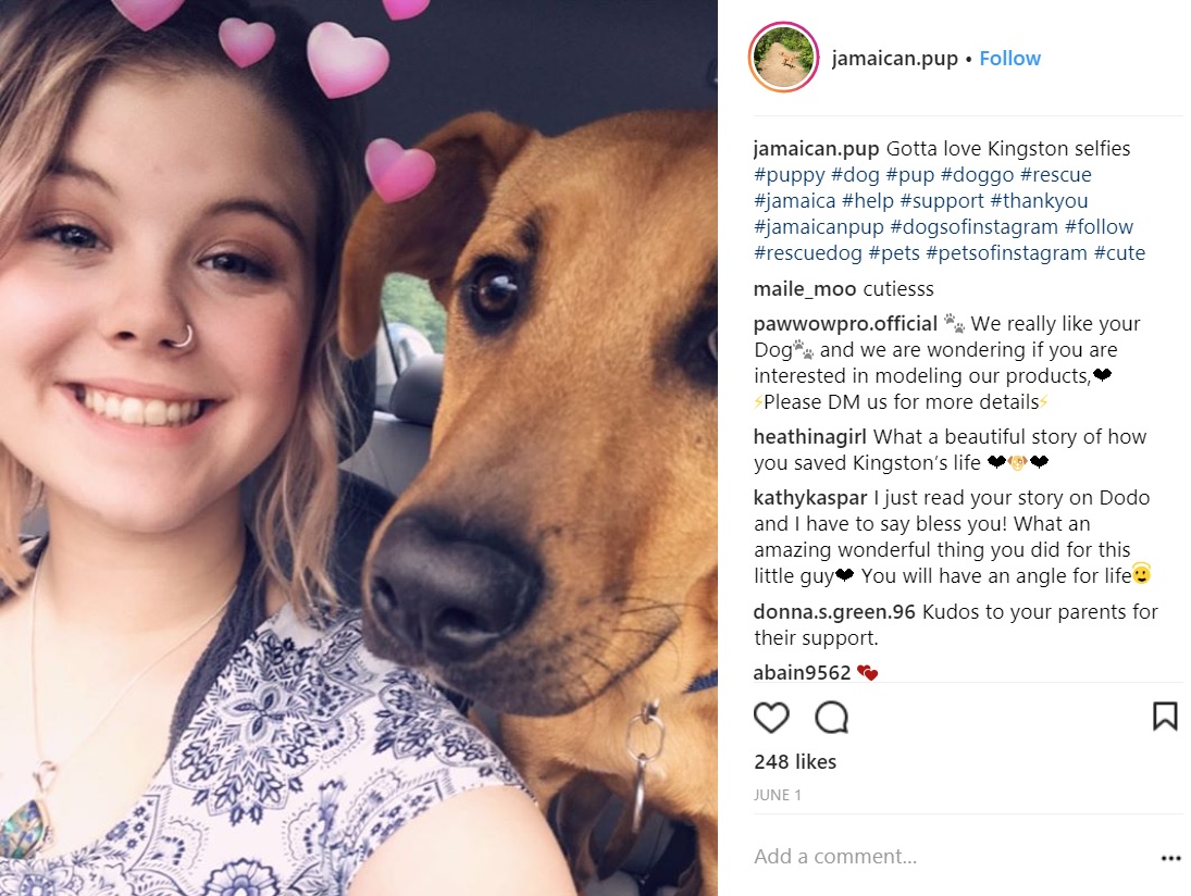 ジャマイカからアメリカへ仔犬を引き取った17歳少女（画像は『Kingston　2018年6月1日付Instagram「Gotta love Kingston selfies」』のスクリーンショット）
