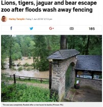 【海外発！Breaking News】動物園で猛獣がフェンス外へと脱走　園外に出たクマは射殺（独）