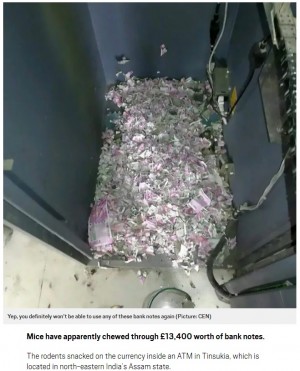 【海外発！Breaking News】ネズミがATM内の札200万円相当をビリビリにして巣作り（印）