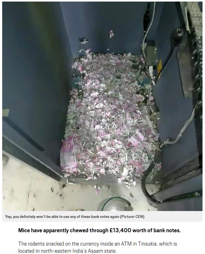 ATM内のお札がネズミに齧られズタズタに（画像は『Metro　2018年6月21日付「Mice chew through ￡13,000 in bank notes inside cash machine」（Picture: CEN）』のスクリーンショット）