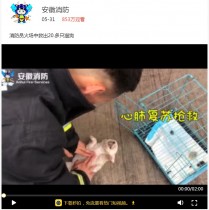 【海外発！Breaking News】ペットショップで火災発生　消防士「先に動物を外へ！」（中国）