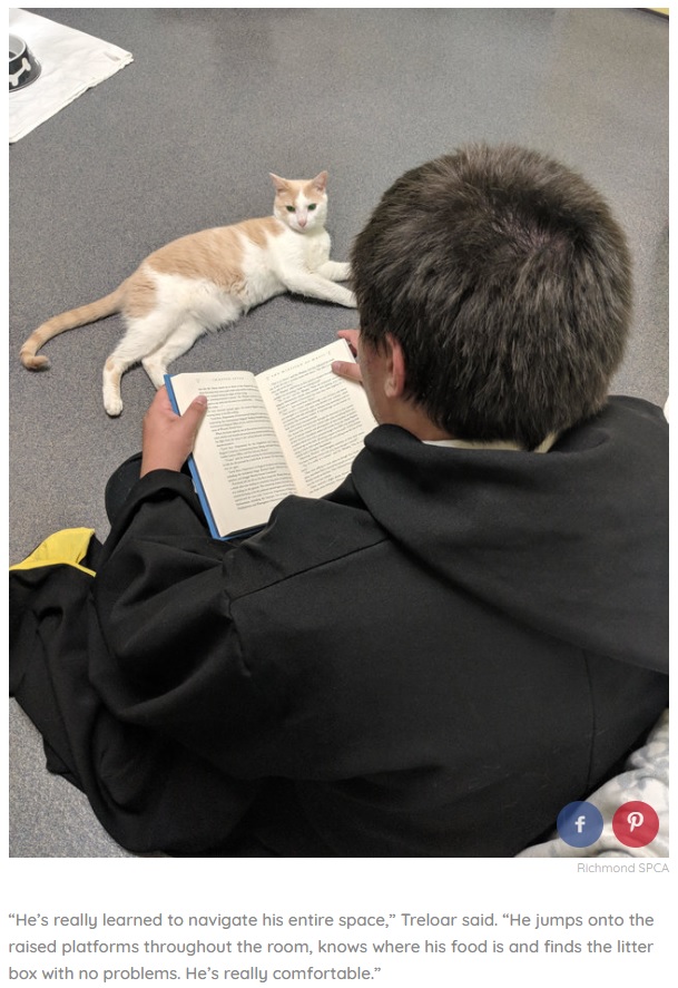 猫との絆を育むまで毎日読み聞かせをした男性（画像は『The Dodo　2018年6月14日付「Teen Reads ‘Harry Potter’ To Blind Shelter Cat Every Day Until He Trusts Him」（Richmond SPCA）』のスクリーンショット）