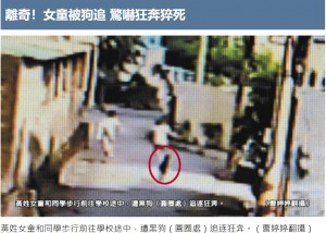 【海外発！Breaking News】犬に追いかけられた少女、呼吸困難に陥り死亡（台湾）