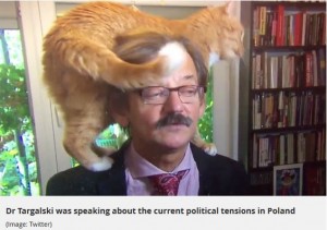 【海外発！Breaking News】深刻な政治問題のTVインタビュー中、飼い猫まさかの乱入（ポーランド）