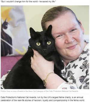 【海外発！Breaking News】飼い主が熟睡中に火災発生　叩き起こして命を救った猫（北アイルランド）