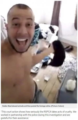 【海外発！Breaking News】猫の虐待動画をFacebookに投稿し続けた男、生涯にわたり動物飼育禁止に（英）