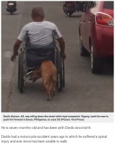 【海外発！Breaking News】事故で半身不随になった飼い主の車椅子を押す犬（フィリピン）