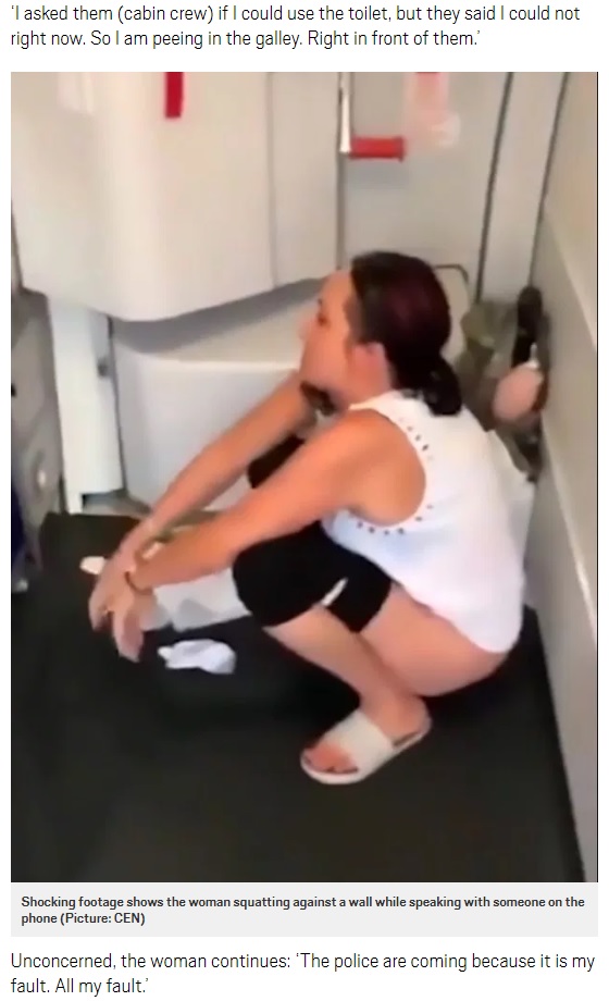 トイレ使用を禁じられ、床に放尿した女性客（画像は『Metro　2018年7月23日付「Woman pees on floor after being told she can’t use toilet on Wizz Air flight」（Picture: CEN）』のスクリーンショット）