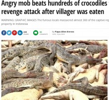 【海外発！Breaking News】「仲間を食べられた」怒りの住民ら団結　ワニ292頭を殺す（インドネシア）
