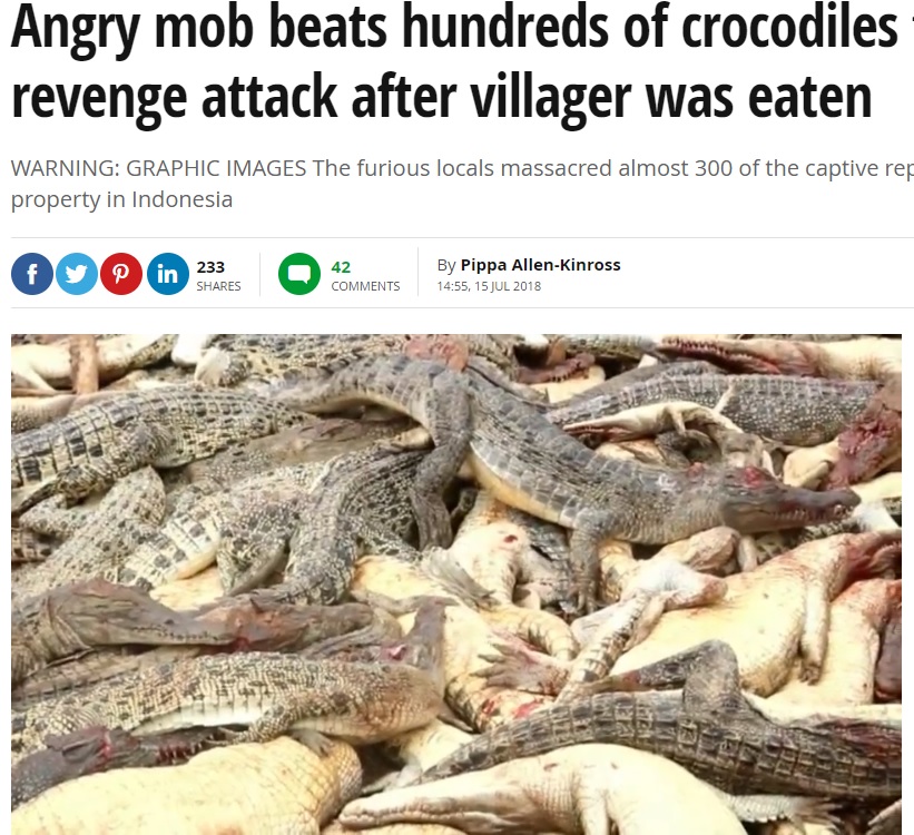 怒りの住民ら一斉にワニを虐殺（画像は『Mirror　2018年7月15日付「Angry mob beats hundreds of crocodiles to death in revenge attack after villager was eaten」』のスクリーンショット）