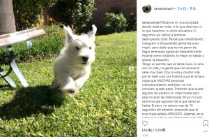 【海外発！Breaking News】フォロワー集めか　犬をドラム式洗濯機に閉じ込めて撮影した飼い主（アルゼンチン）