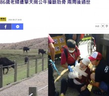 【海外発！Breaking News】発情期の水牛が突進　女性が死亡（台湾）
