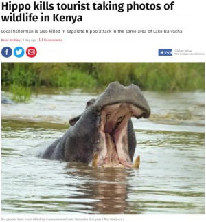 【海外発！Breaking News】野生のカバ、写真撮影していた中国人観光客を襲い死なせる（ケニア）