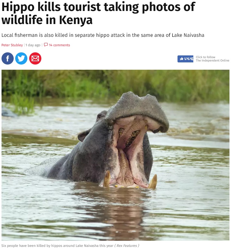 ケニアで野生のカバが観光客を襲う（画像は『The Independent　2018年8月12日付「Hippo kills tourist taking photos of wildlife in Kenya」（Rex Features）』のスクリーンショット）