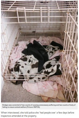 【海外発！Breaking News】餓死させた犬2匹と暮らしていた女、動物虐待で逮捕（英）