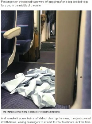 【海外発！Breaking News】電車内で犬が排泄　掃除をしない鉄道職員に乗客が怒り（英）