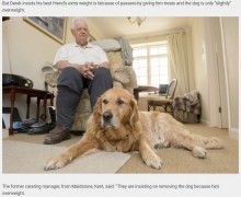 【海外発！Breaking News】視聴覚障害の男性、盲導犬協会から「太らせすぎ」と犬を奪われる危機に（英）