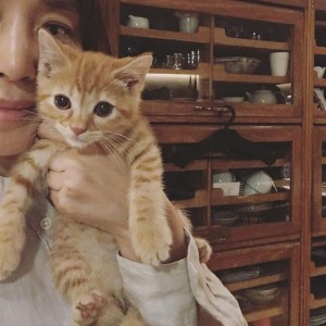 【エンタがビタミン♪】石田ゆり子「猫だらけに危機感」　ペット専用インスタグラムを開設