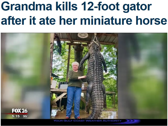 飼い馬を襲ったとされるワニを仕留めたひいおばあちゃん（画像は『Fox 5 NY　2018年9月18日付「Grandma kills 12-foot gator after it ate her miniature horse」』のスクリーンショット）