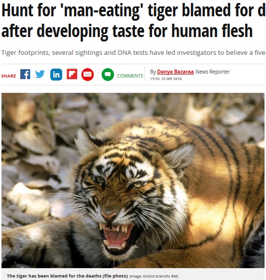 13人を襲ったトラに地元では警告も（画像は『Mirror　2018年9月10日付「Hunt for ‘man-eating’ tiger blamed for deaths of 13 people after developing taste for human flesh」（Image: Oxford Scientific RM）』のスクリーンショット）