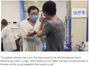 【海外発！Breaking News】救急病院で愛犬を「診察しろ」と医師に詰め寄った男（中国）＜動画あり＞