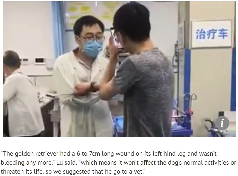 獣医ではない医師に犬の治療を迫る男性（画像は『South China Morning Post　2018年8月28日付「Dog owner turns up at Chinese accident and emergency unit at 4am and demands doctors treat his injured pet」』のスクリーンショット）